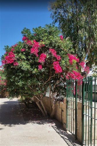 الشقق الفندقية بورت ذالكوذيافي  Mar Blau المظهر الخارجي الصورة